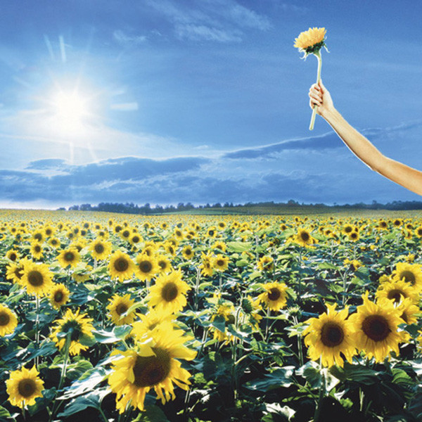 Stone Temple Pilots – Thank You