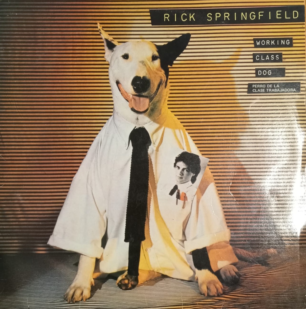 Rick Springfield – Working Class Dog