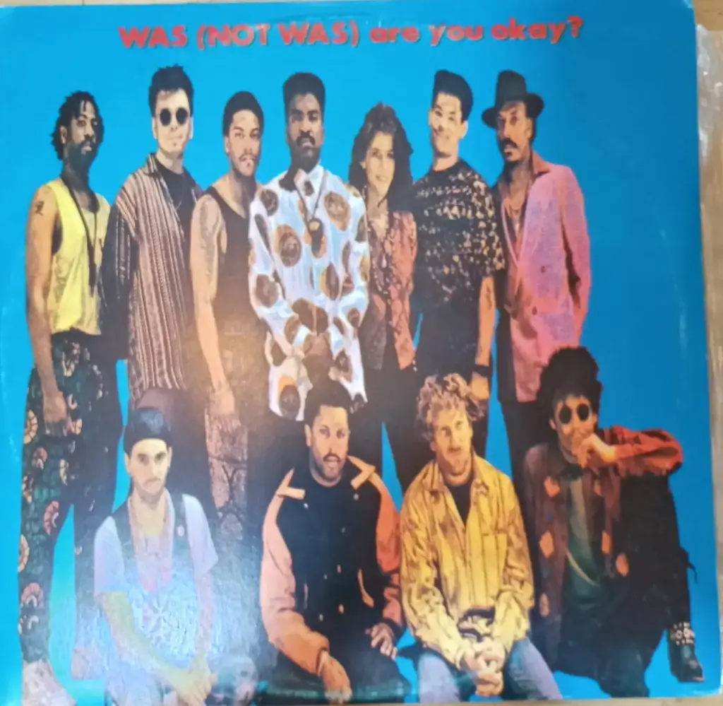 [ULP3941] Was (Not Was) – Are You Okay?