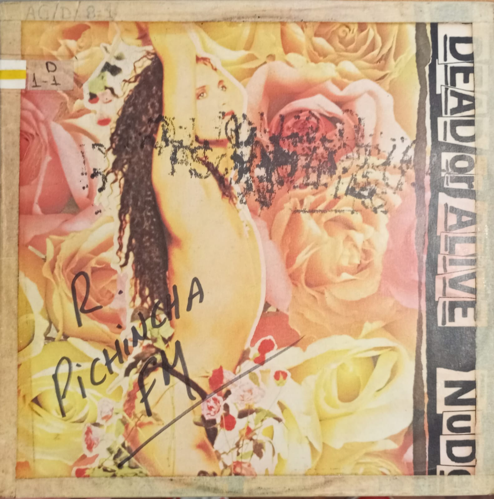 Dead Or Alive – Nude