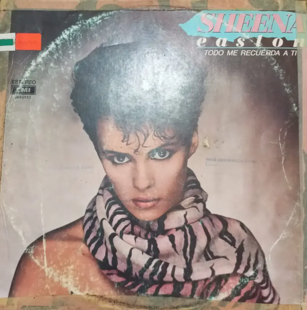 Sheena Easton – Todo Me Recuerda A Ti