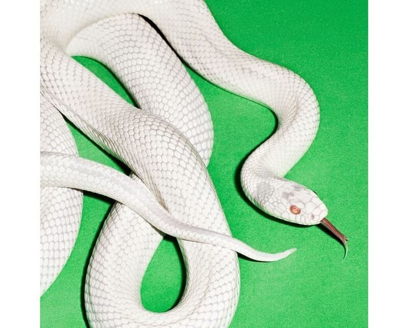 Deftones – Private Music