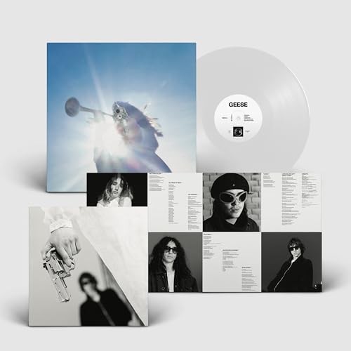 [NLP4803] Geese – Getting Killed