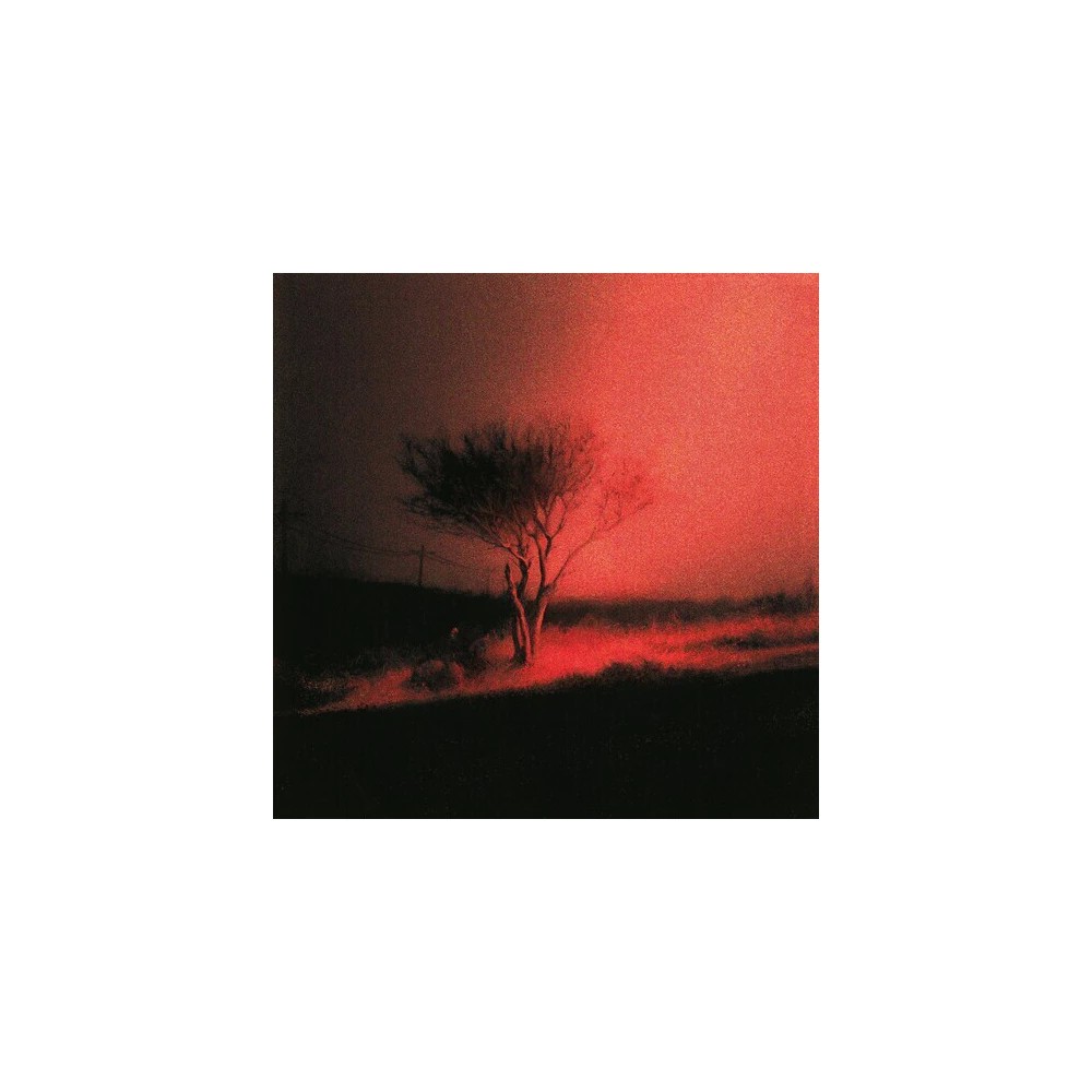 [NCD2304] Joji - Joji - Piss in the Wind