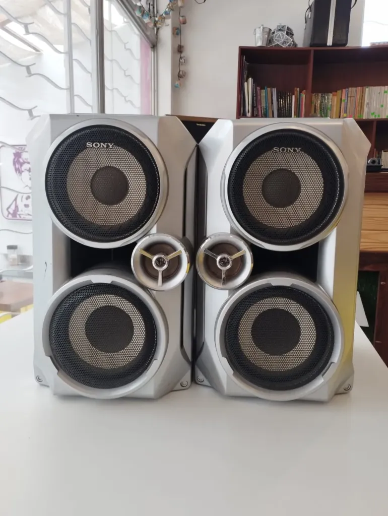 Parlantes pasivos Sony SS-RG66