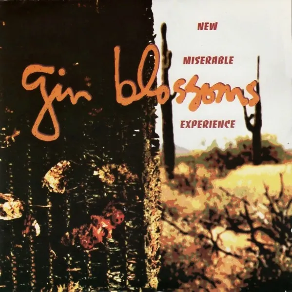 Gin Blossoms – New Miserable Experience