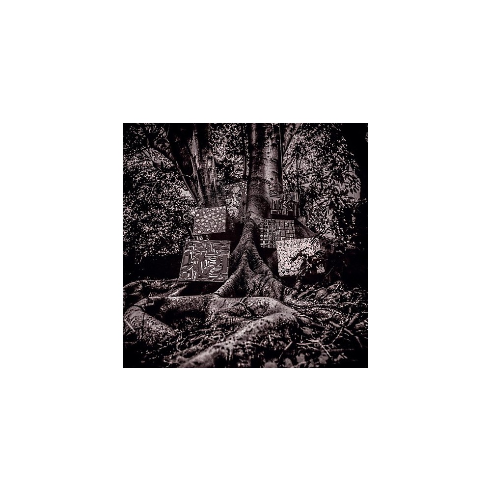 [NLP5135] Kamasi Washington – Harmony Of Difference
