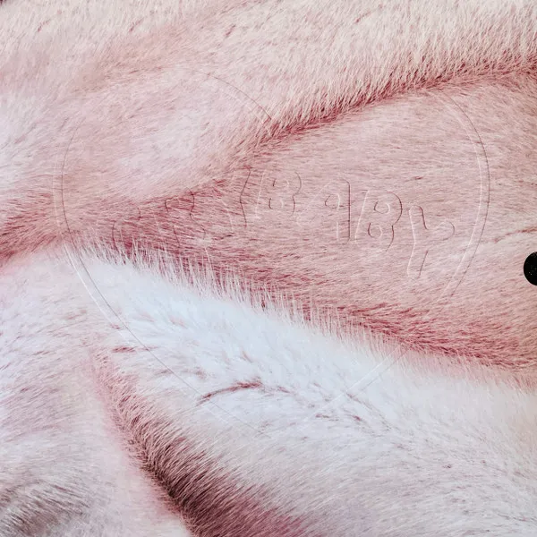[NLP5514] Melanie Martinez - Cry Baby (10th Anniversary Edition)