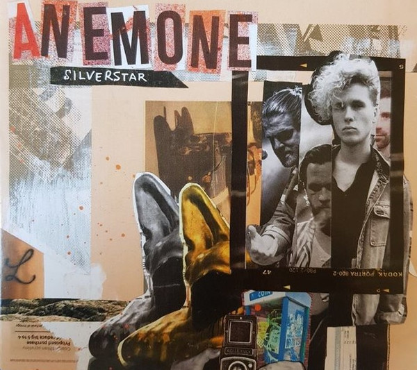 Anemone - Silver Star