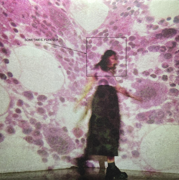 [NLP2504] Soccer Mommy – Sometimes, Forever