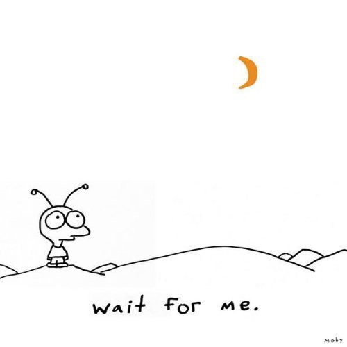Moby – Wait For Me