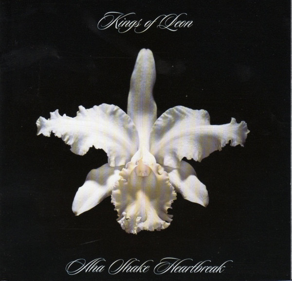 Kings Of Leon - Aha Shake Heartbreak