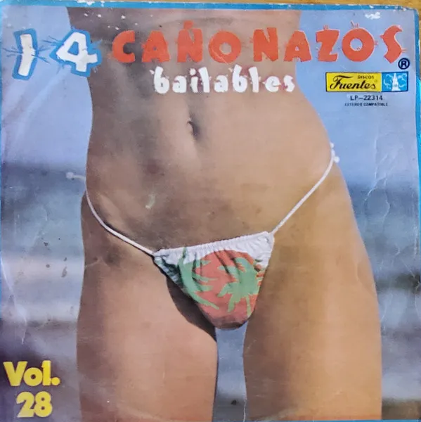 Various – 14 Cañonazos Bailables Vol. 28
