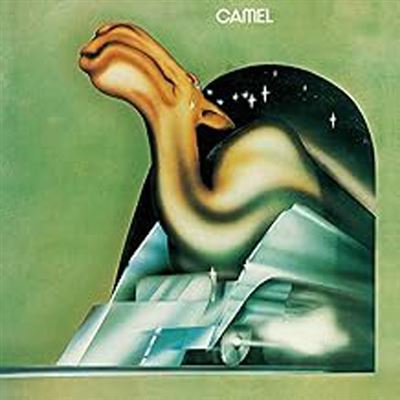 [NLP4449] Camel - Camel