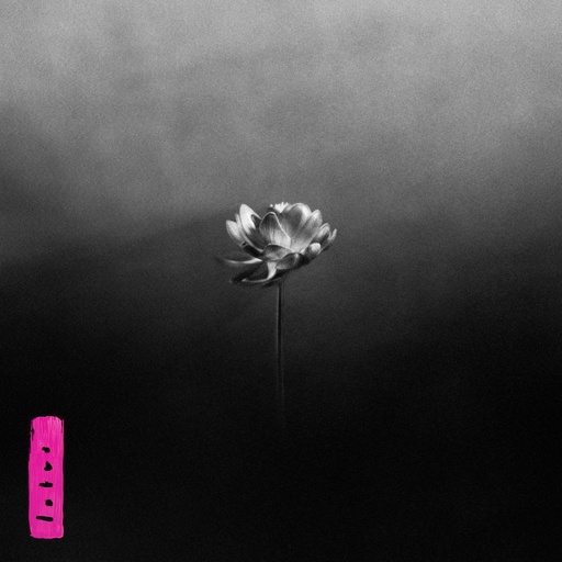 [NLP4601] Little Simz – Lotus (Coloured Vinyl)
