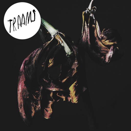 [NCD529] Traams - Grin