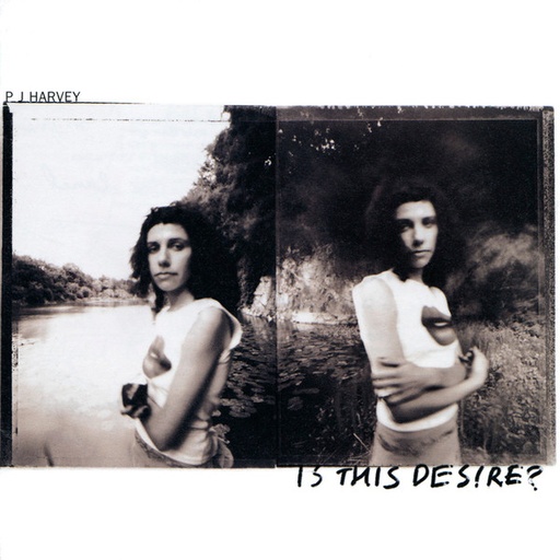 [NLP1043] PJ Harvey - Is This Desire?