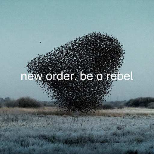[NLP1319] New Order  - Be A Rebel