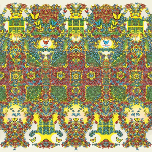 [NLP1867] King Gizzard And The Lizard Wizard  - Butterfly 3000