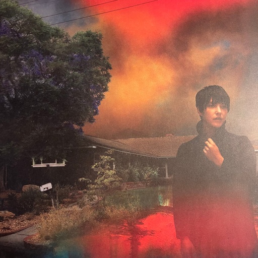 [NLP2472] Sharon Van Etten – We've Been Going About This All Wrong