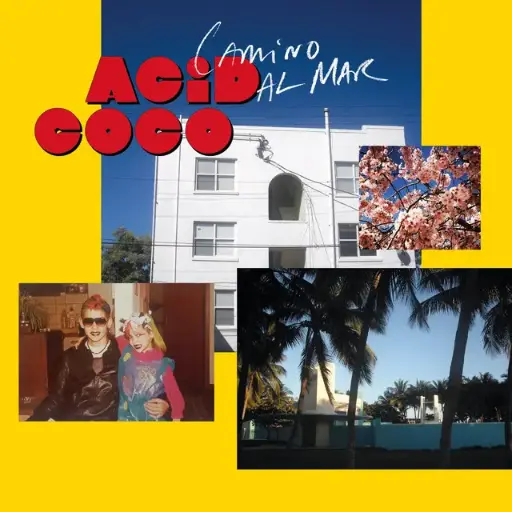 [NLP3433] Acid Coco - Camino al Mar