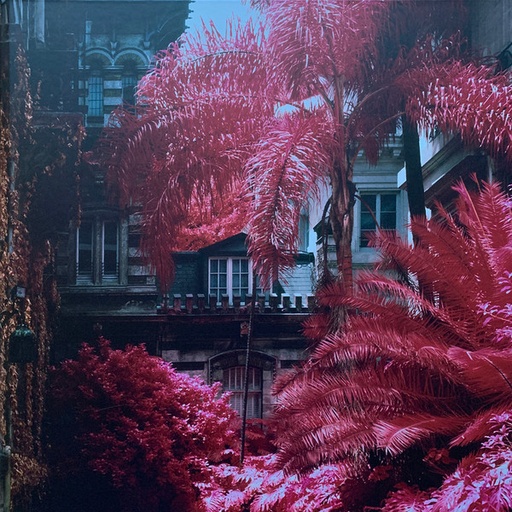 [NCD057] Foals - Everything Not Saved Will Be Lost: Part 1
