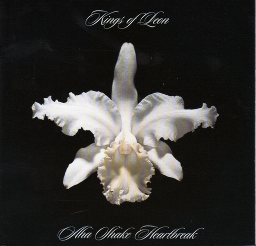 [NCD094] Kings Of Leon - Aha Shake Heartbreak