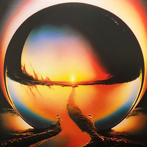[NLP3877] Cage The Elephant – Neon Pill