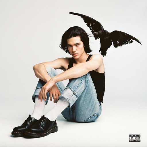 [NCD1294] Conan Gray – Kid Krow